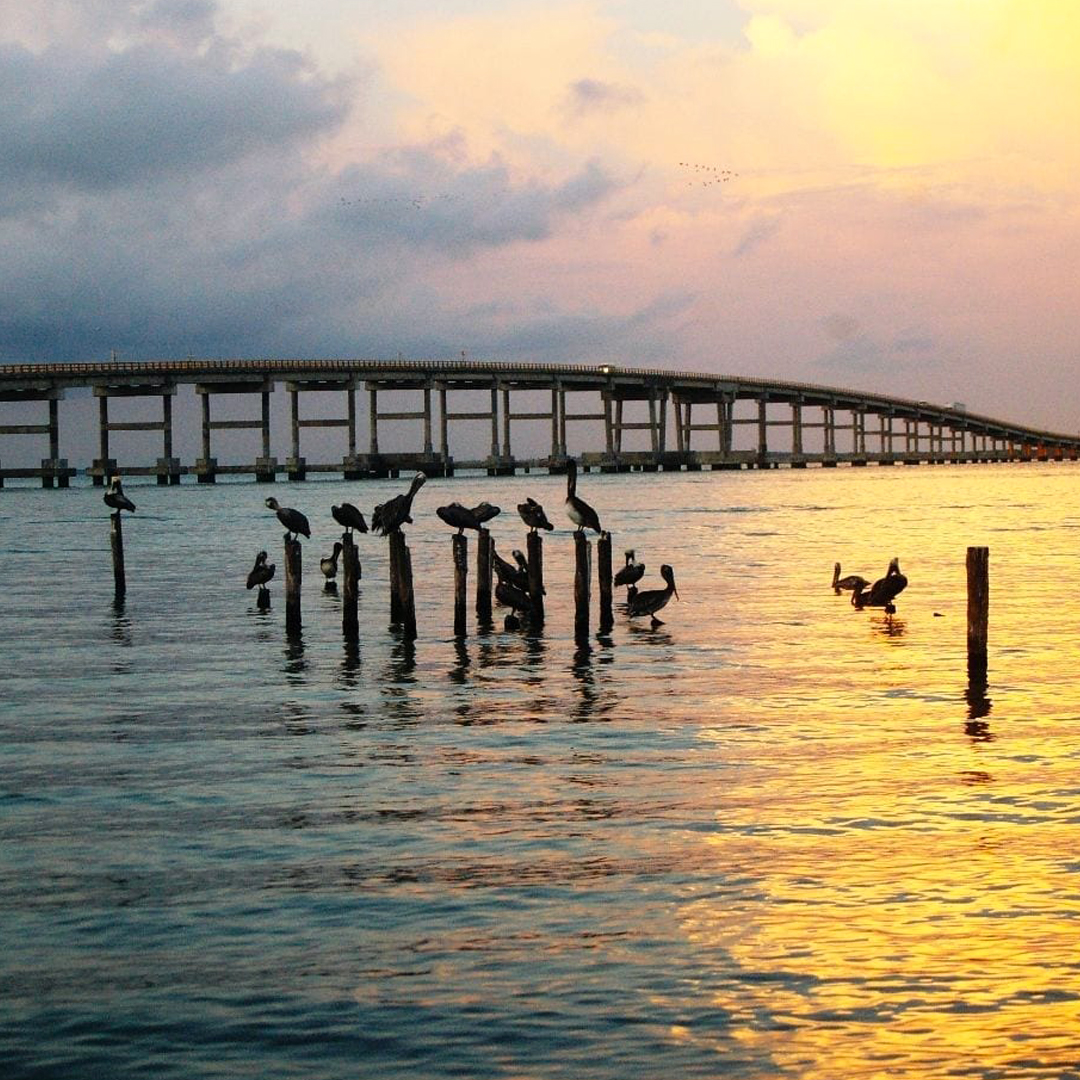 Puente el Zacatal Isla del Carmen